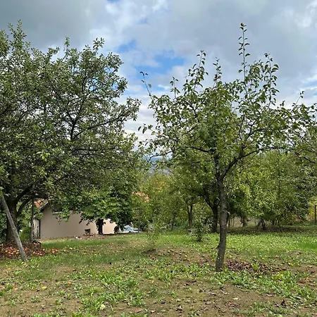Villa Sara *